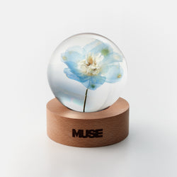 [MUSE]Paper Weight