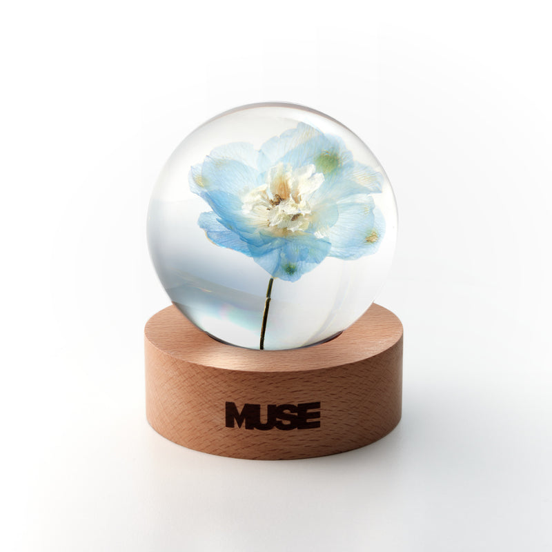 [MUSE]Paper Weight (2024年12月初旬以降発送)