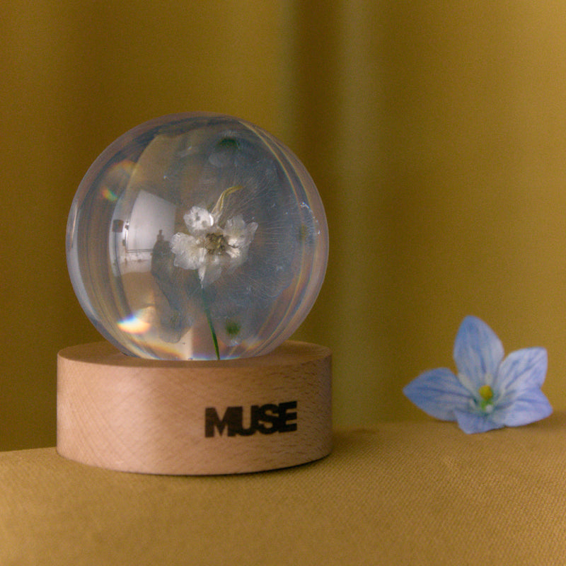 [MUSE]Paper Weight